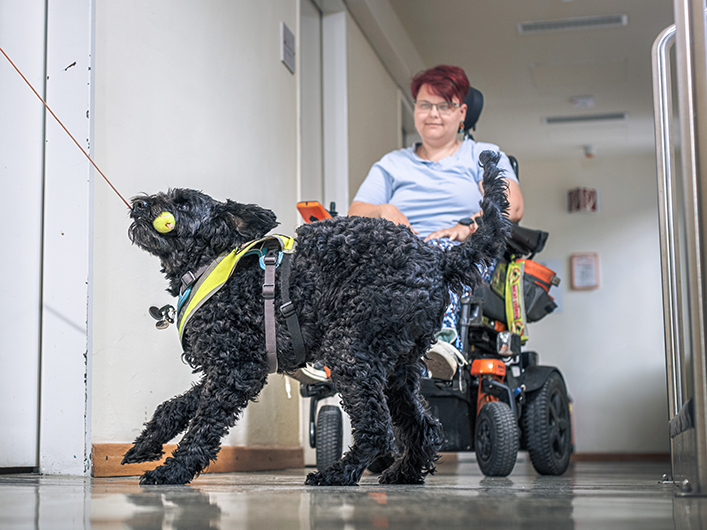 Hund in der Arbeit © Markus Zahradnik