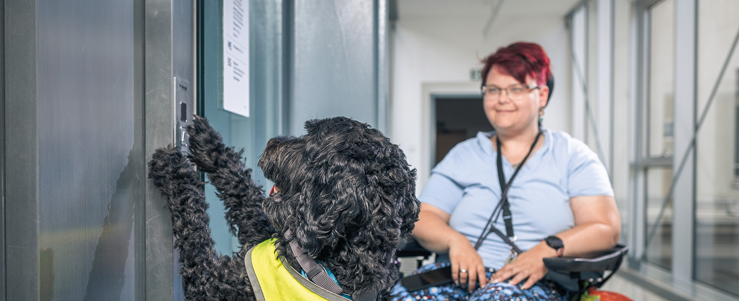 Hunde am Arbeitsplatz © Markus Zahradnik