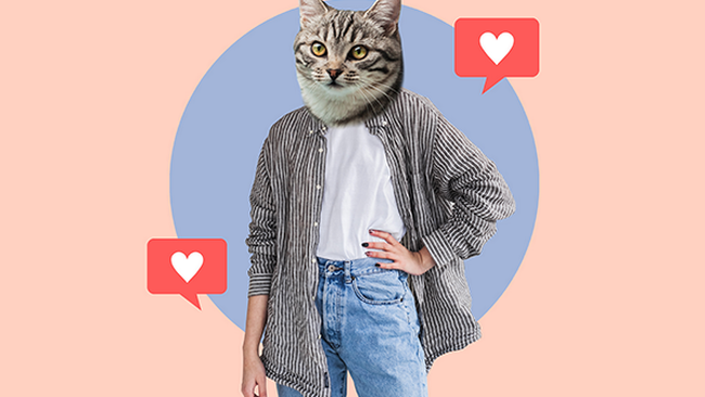 Online-Test: Social Media Typ © makanna - stock.adobe.com