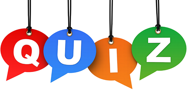 Imagebild Quiz © frender - stock.adobe.com