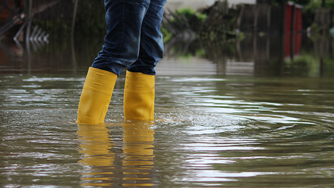 Imagebild Hochwasser © Rico Loeb - stock.adobe.com