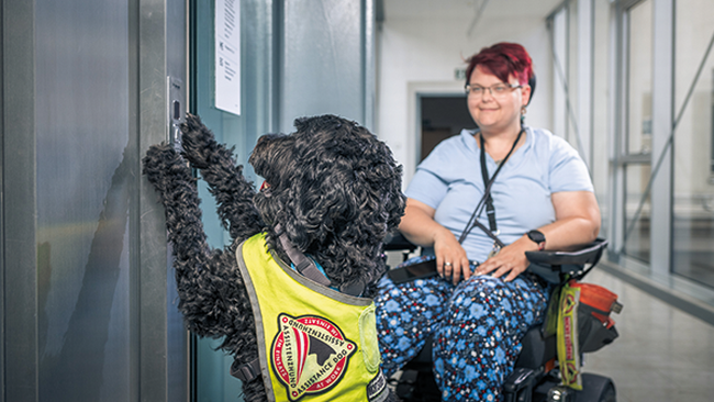 Hunde am Arbeitsplatz © Markus Zahradnik