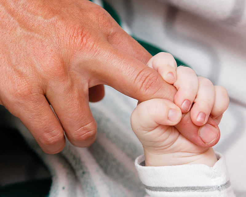 Babyhand nimmt Erwachsenenhand, zum Thema V&auml;terkarenz &copy;  lagom &ndash; stock.adobe.com